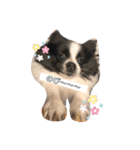 ぼく、諭吉。（個別スタンプ：20）