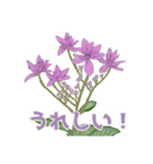 四季の花々【日常会話】（個別スタンプ：13）