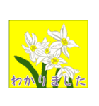 四季の花々【日常会話】（個別スタンプ：14）