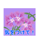 四季の花々【日常会話】（個別スタンプ：15）