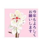 四季の花々【日常会話】（個別スタンプ：24）