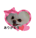 cocoa❤スタンプ❤（個別スタンプ：2）