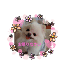 cocoa❤スタンプ❤（個別スタンプ：3）