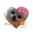 cocoa❤スタンプ❤（個別スタンプ：4）