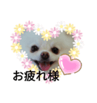 cocoa❤スタンプ❤（個別スタンプ：5）