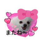 cocoa❤スタンプ❤（個別スタンプ：6）