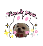 cocoa❤スタンプ❤（個別スタンプ：7）