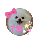 cocoa❤スタンプ❤（個別スタンプ：8）