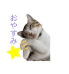とびだせルイくん❗️（個別スタンプ：2）