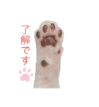 とびだせルイくん❗️（個別スタンプ：5）