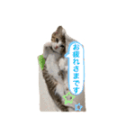 とびだせルイくん❗️（個別スタンプ：15）