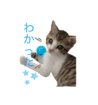 とびだせルイくん❗️（個別スタンプ：17）