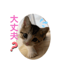とびだせルイくん❗️（個別スタンプ：18）