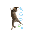 とびだせルイくん❗️（個別スタンプ：23）