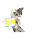 とびだせルイくん❗️（個別スタンプ：25）