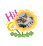 とびだせルイくん❗️（個別スタンプ：27）