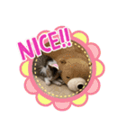 とびだせルイくん❗️（個別スタンプ：30）