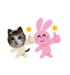 とびだせルイくん❗️（個別スタンプ：31）