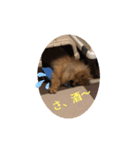 つぶやきココちゃん（個別スタンプ：8）