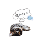 おぎんちゃんの癒されスタンプ（個別スタンプ：7）
