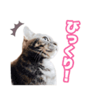 おぎんちゃんの癒されスタンプ（個別スタンプ：16）