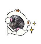 おぎんちゃんの癒されスタンプ（個別スタンプ：24）