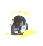 まっくんあんどまっくん（個別スタンプ：30）