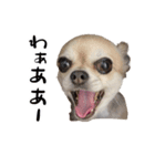 みる.まろ.みゅー（個別スタンプ：2）
