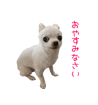みる.まろ.みゅー（個別スタンプ：4）