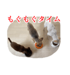 みる.まろ.みゅー（個別スタンプ：7）