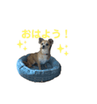 テツコのすたんぷ（個別スタンプ：2）