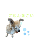 テツコのすたんぷ（個別スタンプ：6）