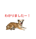 テツコのすたんぷ（個別スタンプ：9）