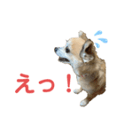 テツコのすたんぷ（個別スタンプ：12）