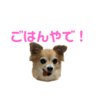 テツコのすたんぷ（個別スタンプ：14）