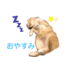 うに丸の日常！（個別スタンプ：2）