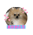 うに丸の日常！（個別スタンプ：3）