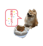 うに丸の日常！（個別スタンプ：5）