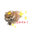 うに丸の日常！（個別スタンプ：16）
