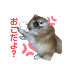 うに丸の日常！（個別スタンプ：18）
