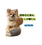 うに丸の日常！（個別スタンプ：19）