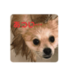 うに丸の日常！（個別スタンプ：21）