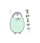 【敬語】空色ペンギンのスタンプ（個別スタンプ：19）