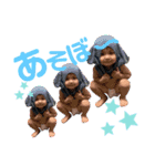 ナカザト兄妹（個別スタンプ：10）