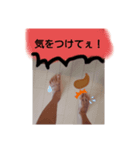 明日の足田くん（個別スタンプ：4）