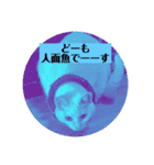 白猫のメリーさんpart2（個別スタンプ：10）