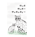 日本麦わら猫と台湾石虎猫のビッグスタンプ（個別スタンプ：1）