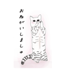 日本麦わら猫と台湾石虎猫のビッグスタンプ（個別スタンプ：2）