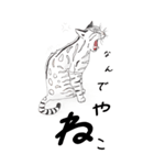 日本麦わら猫と台湾石虎猫のビッグスタンプ（個別スタンプ：4）