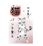 日本麦わら猫と台湾石虎猫のビッグスタンプ（個別スタンプ：7）